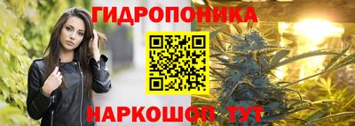 гашик Татарск