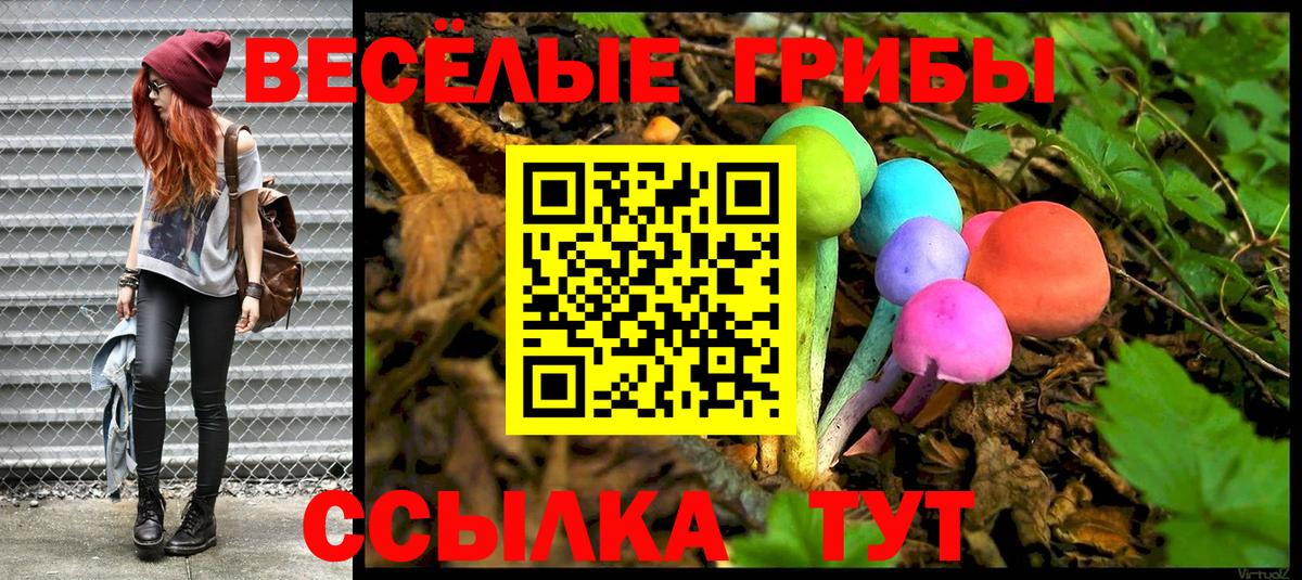 Белореченск  Псилоцибиновые грибы Cubensis  Вход с VPN 